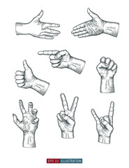 Obraz na płótnie Canvas Hand drawn hands gestures set. Isolated icons. Elements for your design works. Engraved style vector illustration.