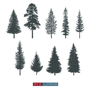 Coniferous tree isolated silhouettes set. Pine tree and fir tree flat icons. Elements for your design works. Vector illustration.