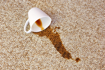 Cup of coffee fell on carpet. Stain is on floor.