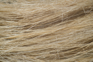 Flax fiber as it is used in paper industry and for making linen cloth