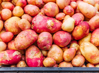 Organic baby potatoes at the market