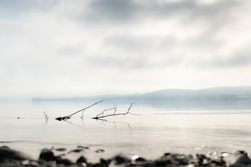 lake constance in the winter with fog, germany, bodensee, switzerland