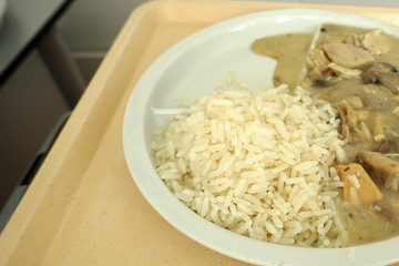 Fricassee with mushrooms sauce and rice as lunch in the hospital