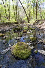 Small creek in the Pilis