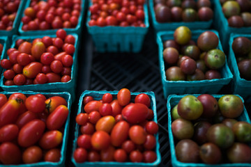 Fresh tomatoes on farmers market, California, USA. Pint baskets of organic colorful tomatoes on the counter at a farmers market. Organic vegetable stall. Selling fresh vegetables. Bio and eco food.