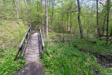 Small creek in the Pilis