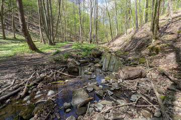 Small creek in the Pilis