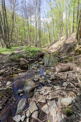Small creek in the Pilis