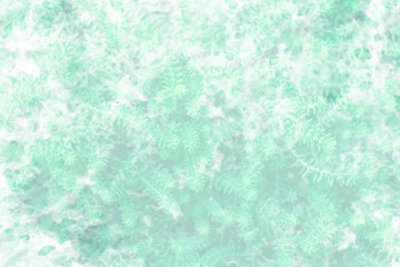 Fototapeta na wymiar Abstract natural green pastel delicate tender plant background