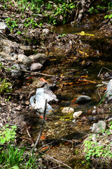 Obraz premium Garbage polluting the natural environment, pollution, nature series. Pollution of nature by plastic. Vertical. The source of healthy thermal water is polluted with plastic waste, bottles, boxes, bags.