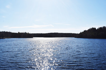 Lake, firs and sky. Copy Space