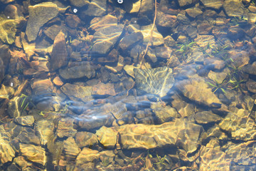 Stones under water 