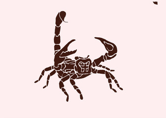 Vintage sketch of scorpion, retro illustration