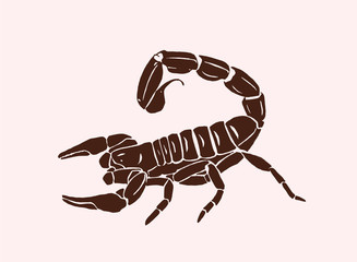 Vintage sketch of scorpion, retro illustration
