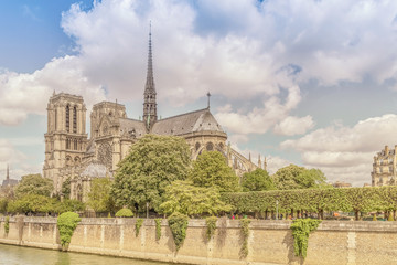 The Cathedral of Notre Dame de Paris