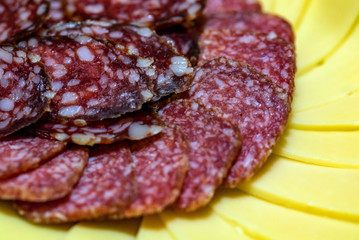 Close up plate with variety of slicesd cheese and sausage