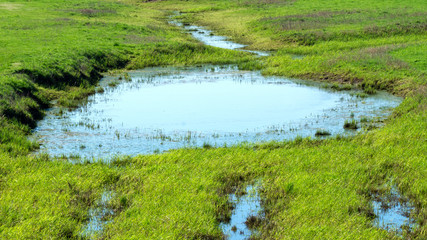 Biotope on the Elbe - Elbtalaue National Park on the Elbe