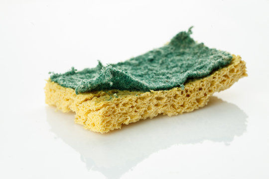 How to dry a sponge store