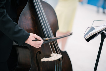 The musician plays the double bass bow