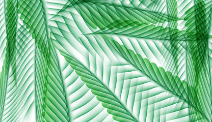 Naklejka na ściany i meble Palm Leaf Vector Background Illustration
