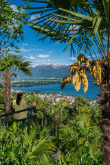Fototapeta na wymiar A traveller , looking at lake maggiore surrounded by palms in Orselina, Switzerland