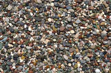 bright colored pebbles on the seashore