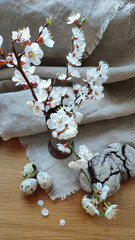 Beautiful white flowering branch of apricots in a vase on a natural fabric and light wooden surface and brownie cookies with quail eggs