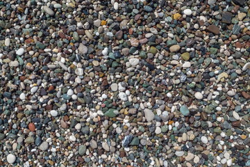 bright colored pebbles on the seashore