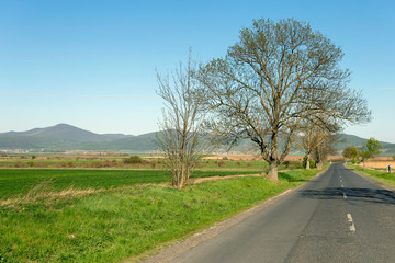 Fototapeta premium Road in the Zemplen