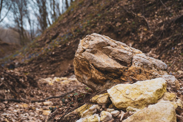 Fototapeta premium isolated huge piece of rock in the bottom of ravine in early spring wild forest