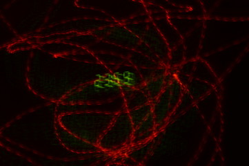 Time - Movement of Time - Abstraction - The Fourth Dimension