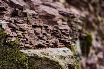 red rock wall of ravine with green moss closeup