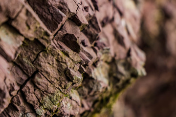 red rock wall of ravine with green moss closeup