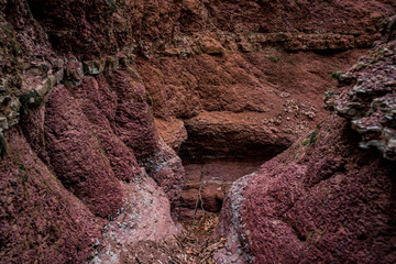 Red rock beautiful water made canyon in wild forest