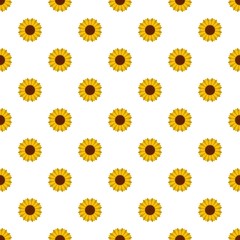 Circle of sunflower pattern seamless vector repeat for any web design