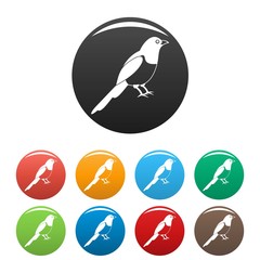 Magpie bird icons set 9 color vector isolated on white for any design