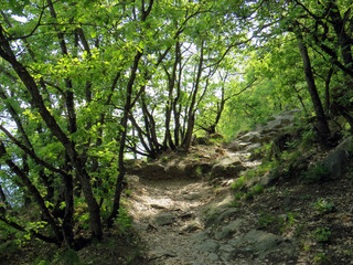 Wanderweg im Untervinschgau in S&uuml;dtirol