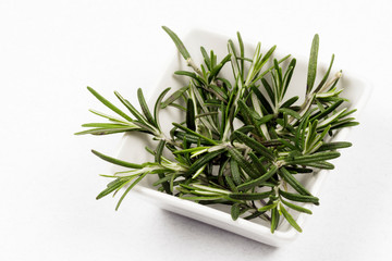 rosemary fresh herb