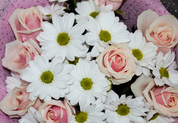 Closeup of pink roses and white daisy flowers bouquet for holiday background
