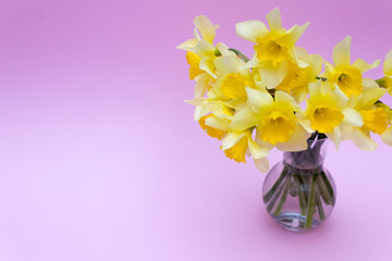 Bouquet of daffodils in a glass vase, Copy space