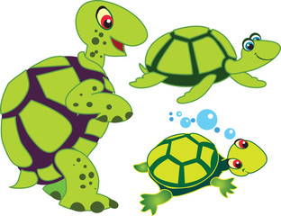 Turtles, drawing of turtles, white background, funny. Cute cartoon.