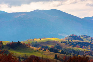 mountain rural area in late autumn season. agricultural field on a hill near the forest with red foliage. beautiful and vivid countryside landscape.
