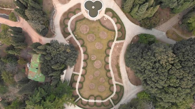 Aerial top view of beautiful green park with different trees and pathways in botanical garden. Landscape design