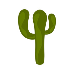Isolated green natural cactus plant image - Vector