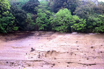 佐布里池の水が枯れた風景