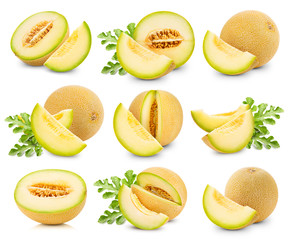melon fruits collection