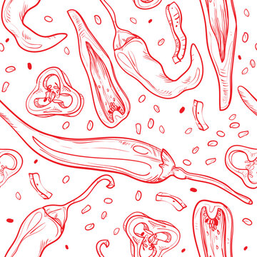 Vector illustrated red paprika chili pepper vegetable linear drawing pattern set