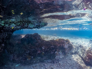    Snorkelling with turtles Views arund the small caribbean Island of Curacao