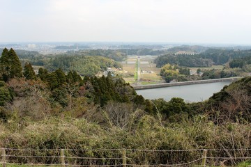昭和の森　展望台から見た九十九里平野県内、有数、規模、誇る、総合公園、日本都市公園100選、選定、園内、四季折々、草花、樹木、野鳥、昆虫、生き物、展望台、ベンチ、テーブル、九十九里、平野、太平洋、水平線、一望、元日、初日の出、見物、訪れる、桜、紅葉、名所、ツツジ、サツキ、ハナショウブ、紫陽花、スイレン、コスモス、花々、咲き誇り、見所、満載、昭和の森、コブクサクラ、開花、アスレチック，ローラー滑り台