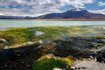 Laguna Blanca, Potosí, Bolivia.